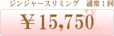 ܂p[}@ʏ1@2,625~