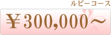 X[p[ZuR[X@500,000~`